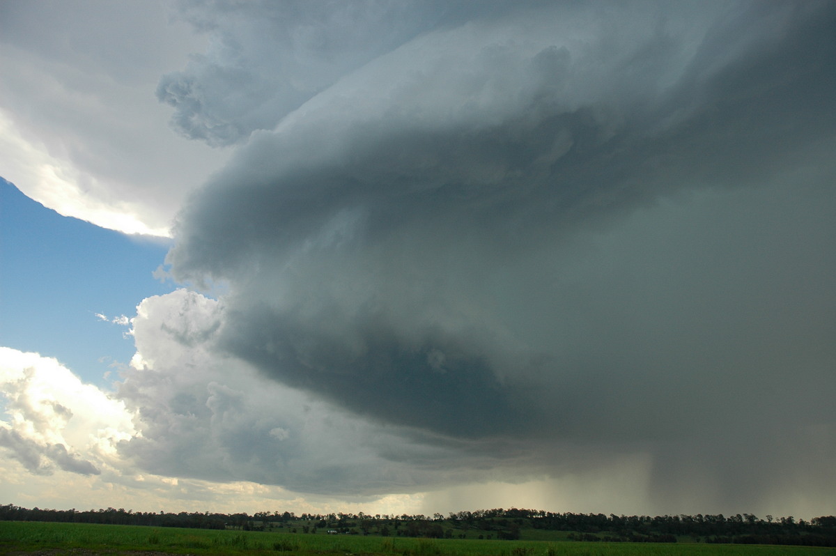 updraft thunderstorm_updrafts : near Coraki, NSW   23 December 2004