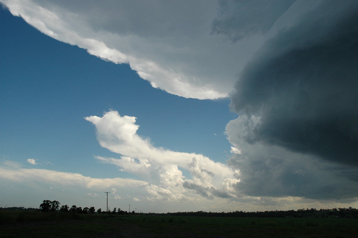 anvil thunderstorm_anvils : near Coraki, NSW   23 December 2004