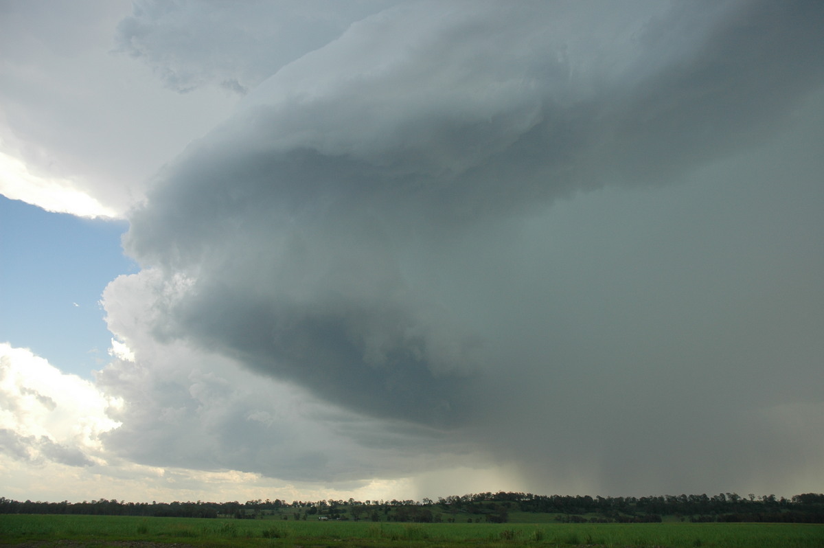 updraft thunderstorm_updrafts : near Coraki, NSW   23 December 2004