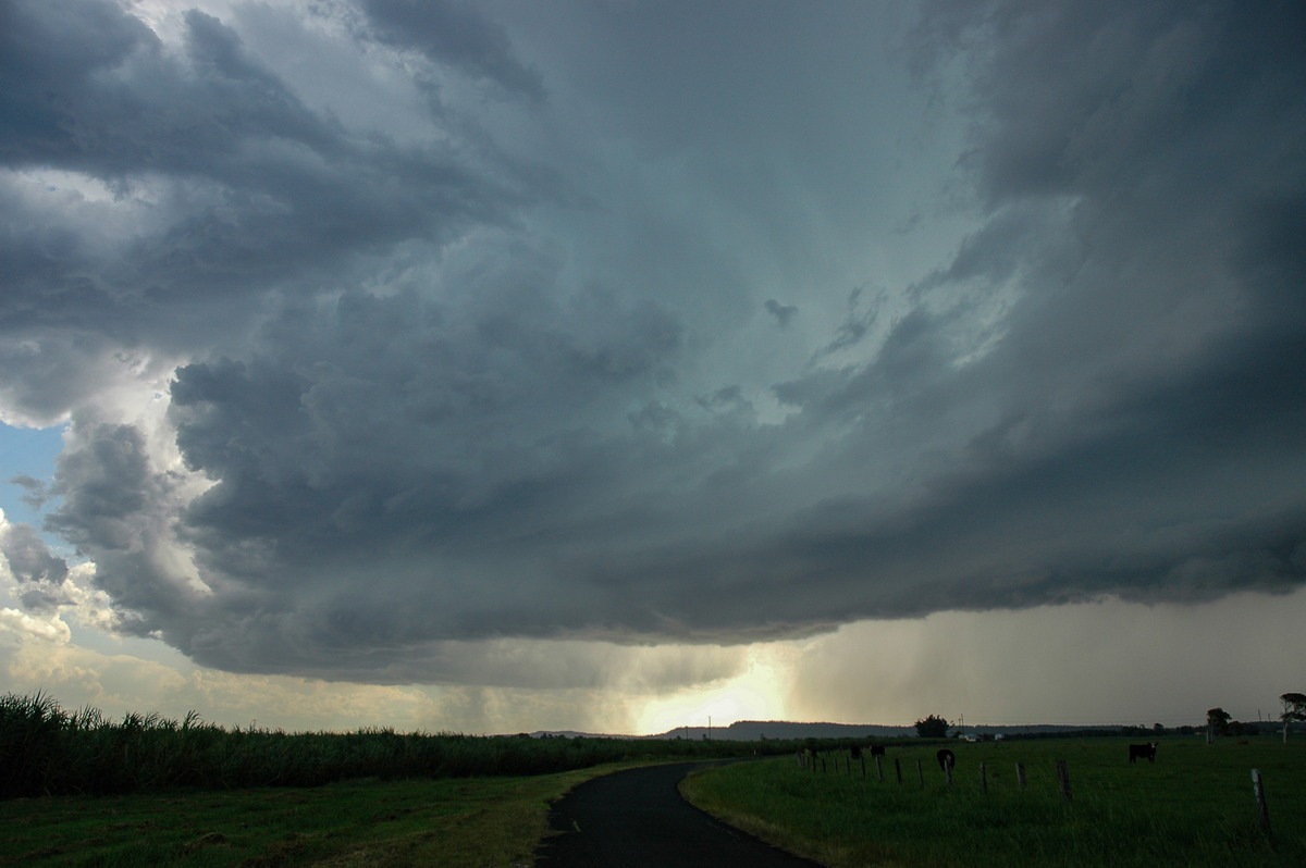 shelfcloud shelf_cloud : Woodburn, NSW   23 December 2004