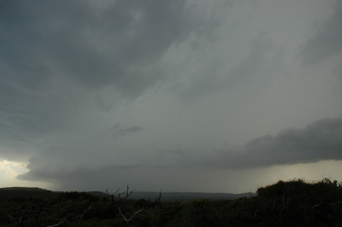 shelfcloud shelf_cloud : Evans Head, NSW   23 December 2004