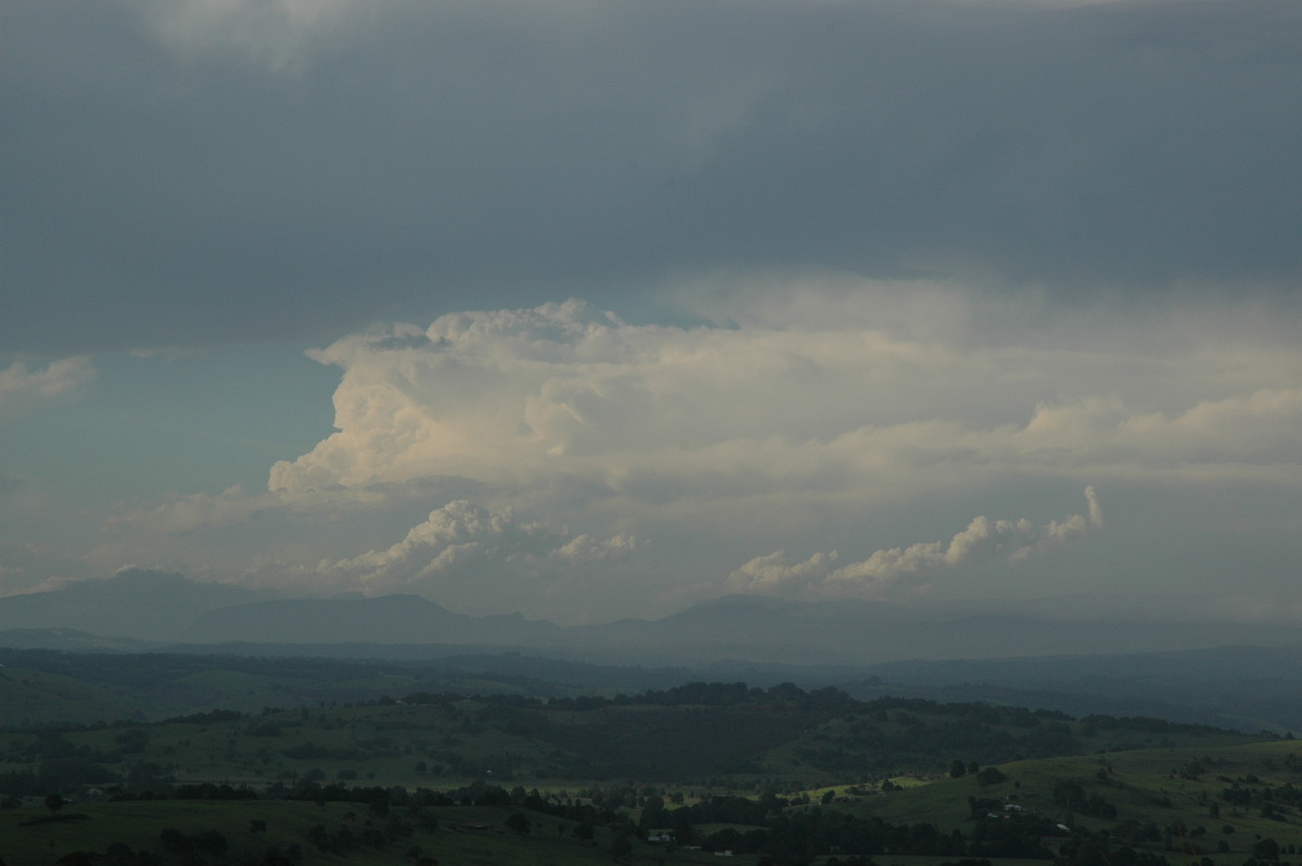 thunderstorm cumulonimbus_incus : McLeans Ridges, NSW   23 December 2004