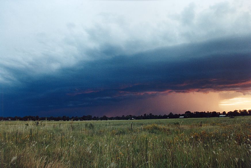 cumulonimbus thunderstorm_base : Narrabri, NSW   24 December 2004