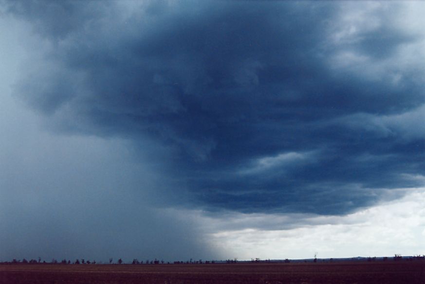 cumulonimbus thunderstorm_base : W of Gunnedah, NSW   25 December 2004