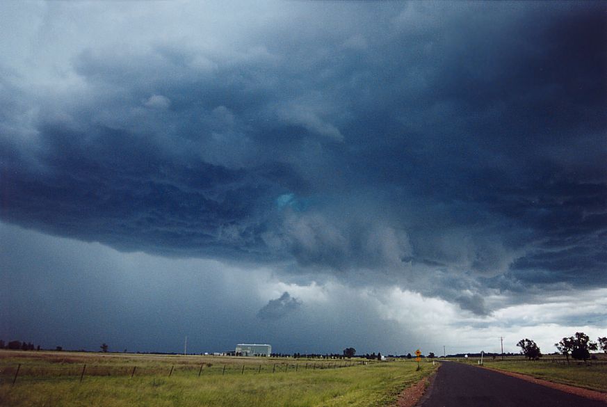 cumulonimbus thunderstorm_base : near Boggabri, NSW   25 December 2004