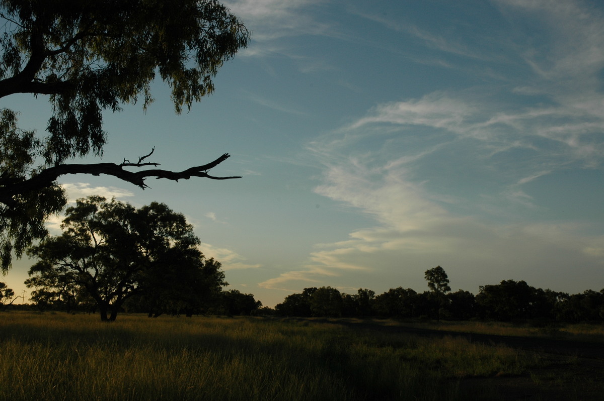 cirrus cirrus_cloud : W of Moree, NSW   26 December 2004