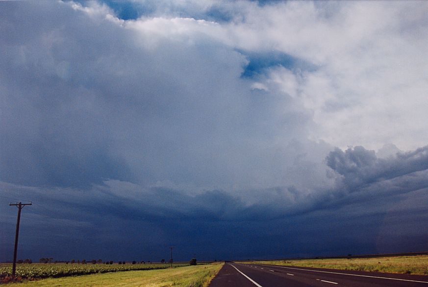 inflowband thunderstorm_inflow_band : N of Narrabri, NSW   27 December 2004