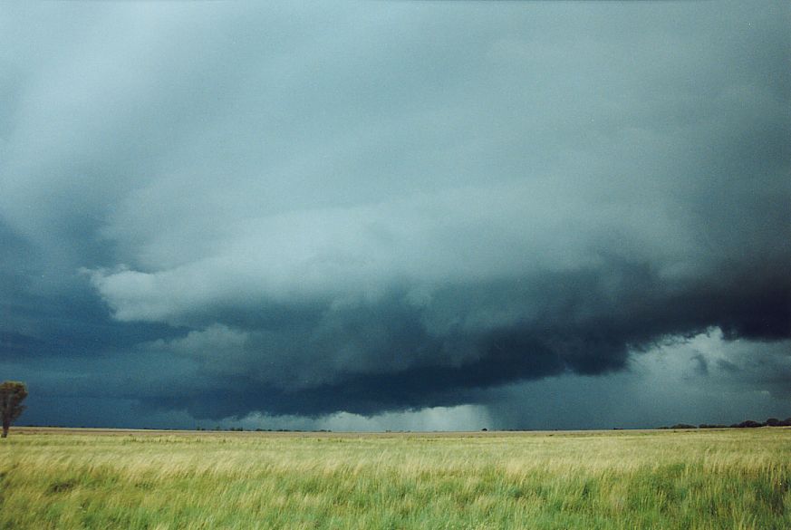 wallcloud thunderstorm_wall_cloud : NE of Narrabri, NSW   27 December 2004