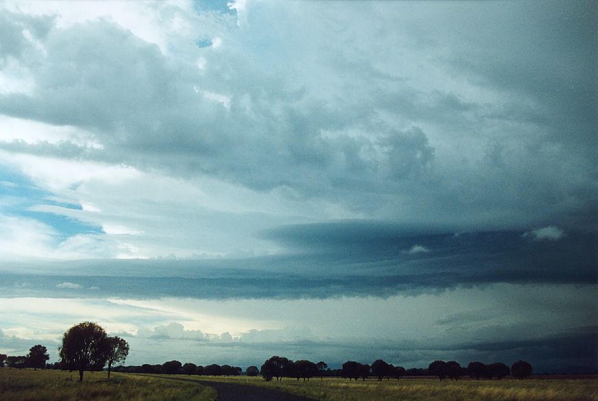 cumulonimbus thunderstorm_base : NE of Narrabri, NSW   27 December 2004