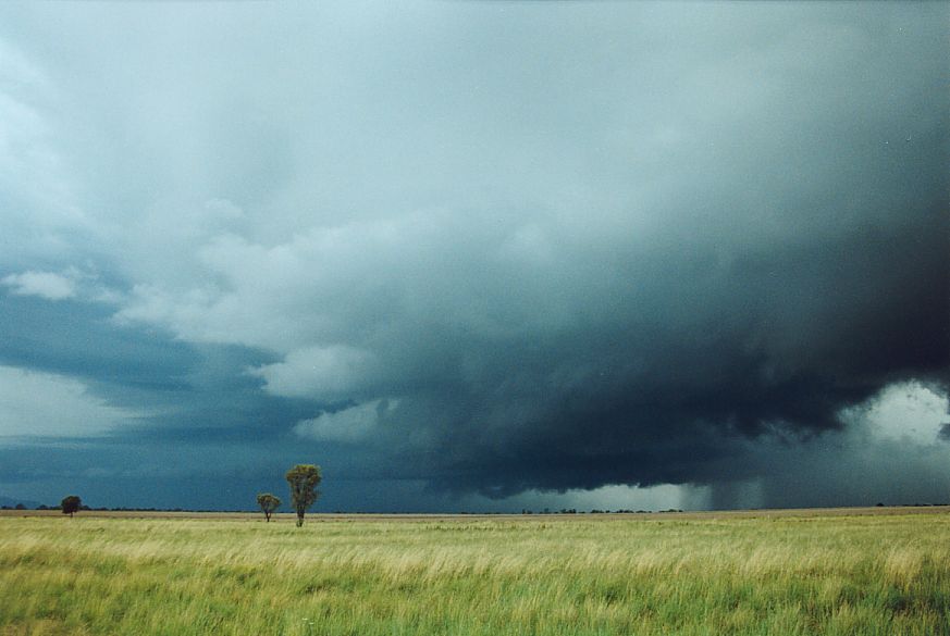 wallcloud thunderstorm_wall_cloud : NE of Narrabri, NSW   27 December 2004