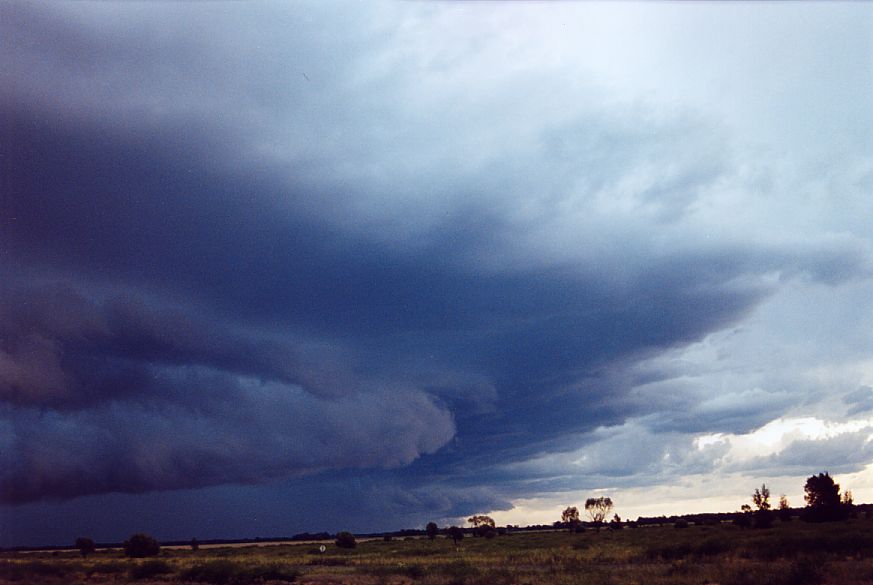 cumulonimbus thunderstorm_base : N of Moree, NSW   27 December 2004