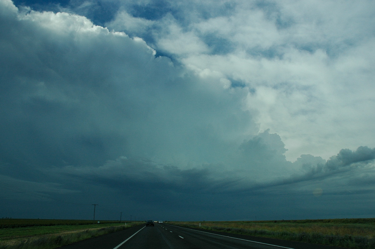 thunderstorm cumulonimbus_incus : N of Narrabri, NSW   27 December 2004