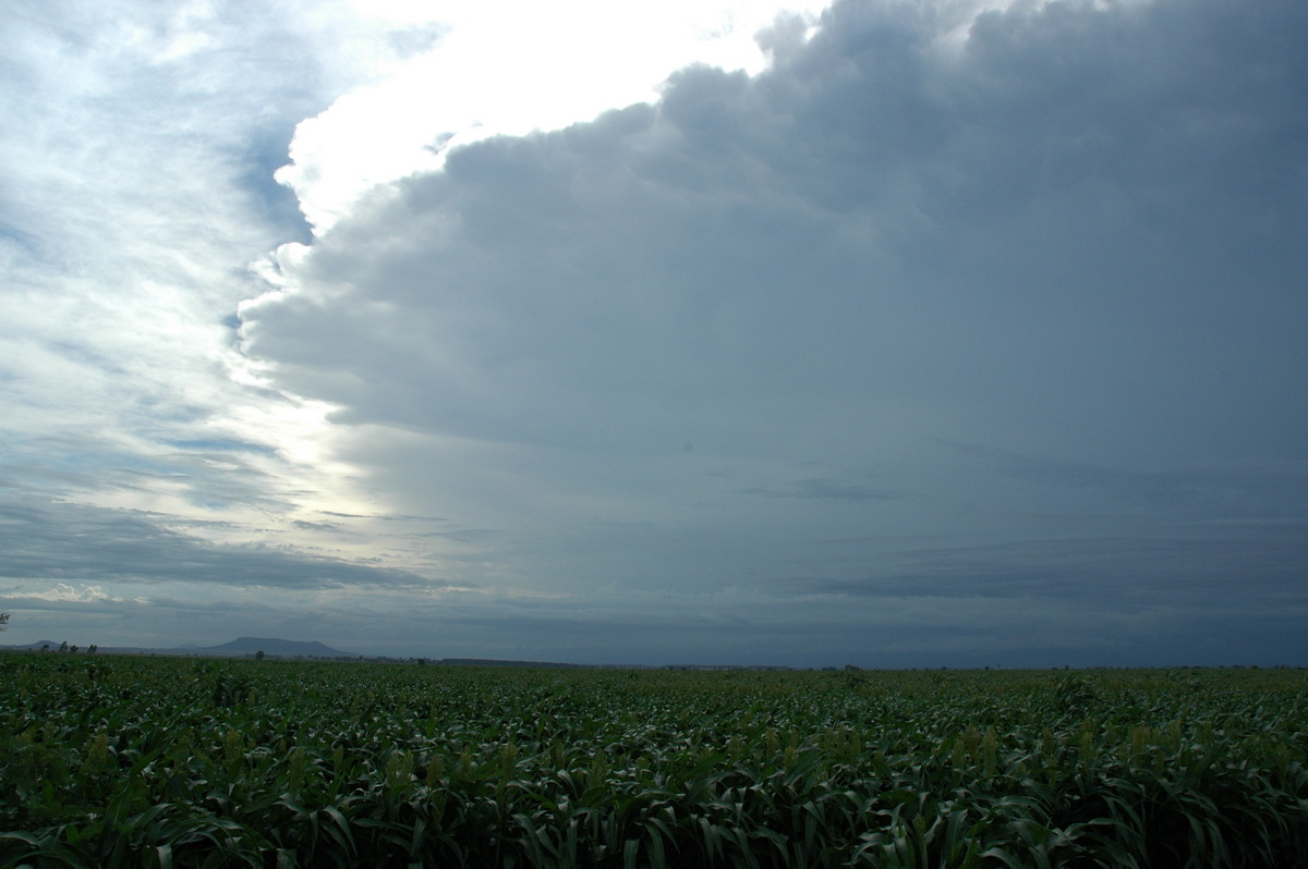 anvil thunderstorm_anvils : N of Narrabri, NSW   27 December 2004