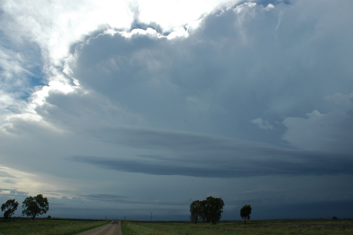 inflowband thunderstorm_inflow_band : N of Narrabri, NSW   27 December 2004