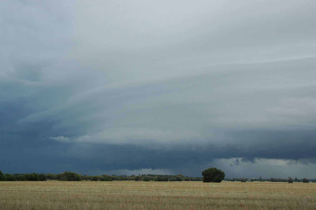 cumulonimbus supercell_thunderstorm : N of Narrabri, NSW   27 December 2004