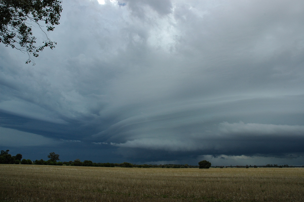 cumulonimbus thunderstorm_base : N of Narrabri, NSW   27 December 2004