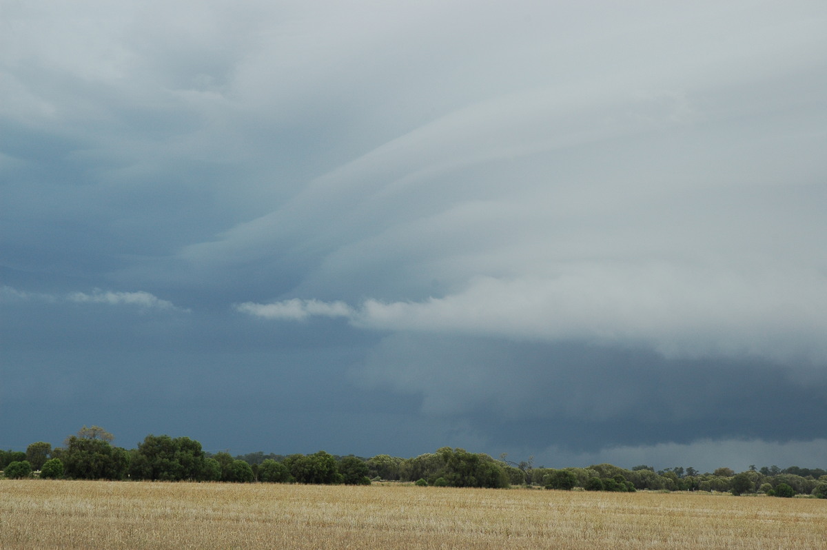 inflowband thunderstorm_inflow_band : N of Narrabri, NSW   27 December 2004