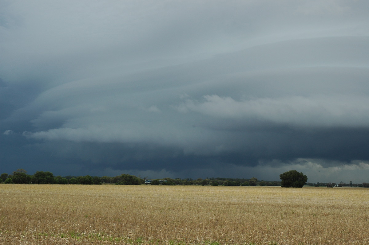 inflowband thunderstorm_inflow_band : N of Narrabri, NSW   27 December 2004