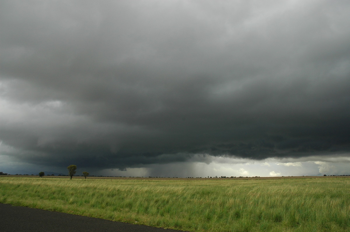 raincascade precipitation_cascade : near Narrabri, NSW   27 December 2004