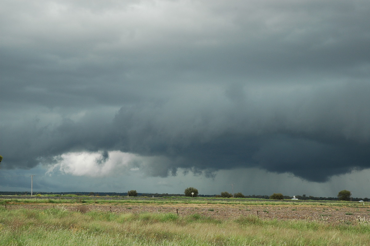 cumulonimbus thunderstorm_base : S of Moree, NSW   27 December 2004