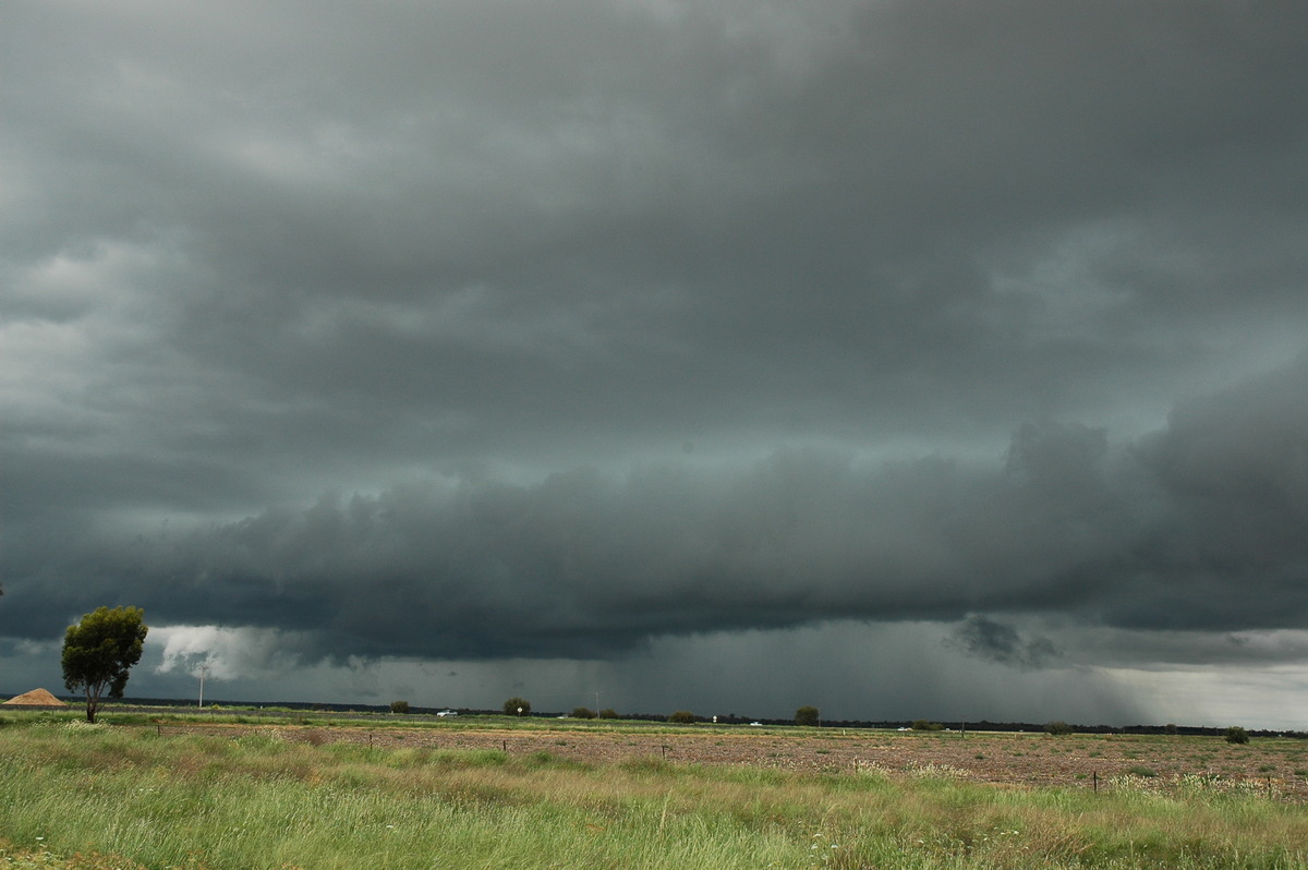 shelfcloud shelf_cloud : S of Moree, NSW   27 December 2004