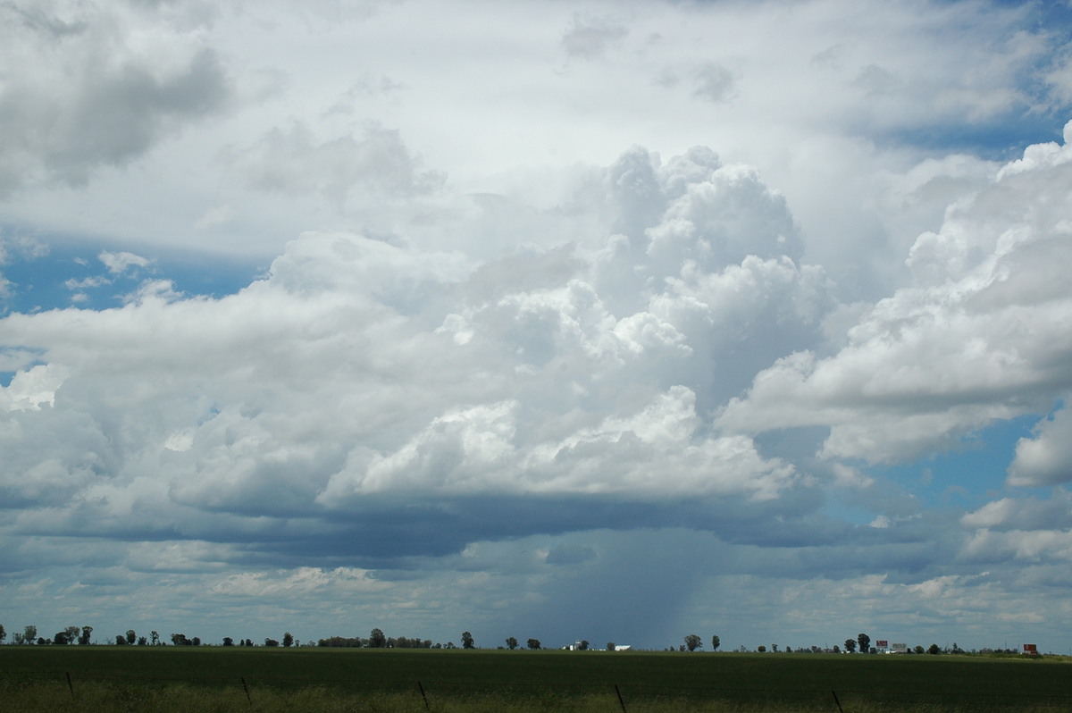 thunderstorm cumulonimbus_calvus : S of Moree, NSW   27 December 2004