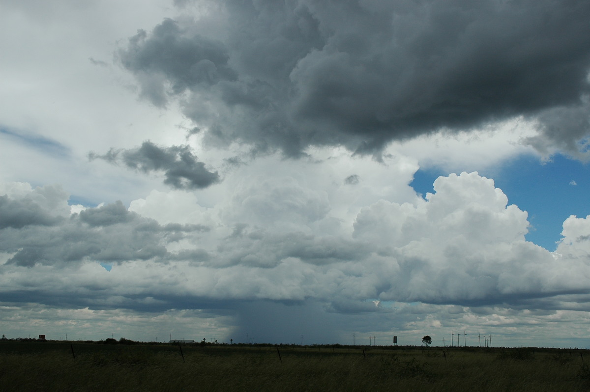 raincascade precipitation_cascade : S of Moree, NSW   27 December 2004