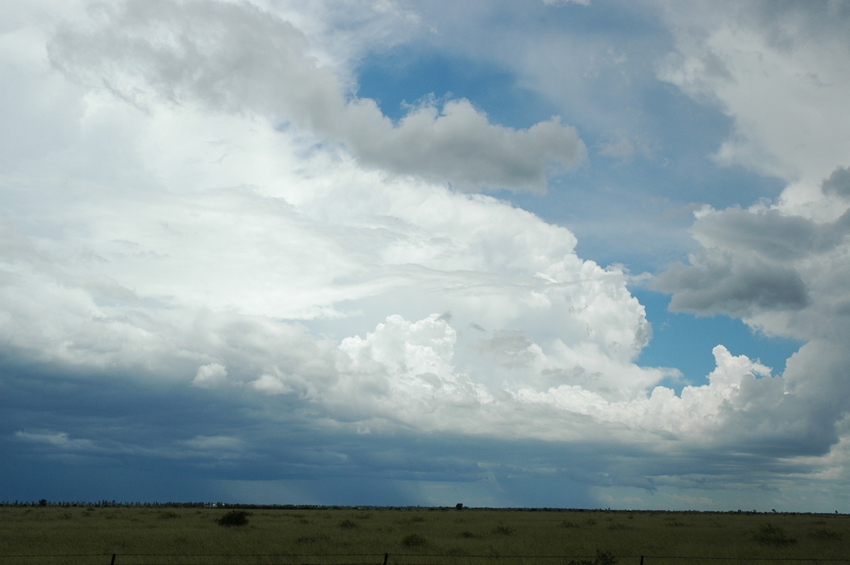 thunderstorm cumulonimbus_incus : S of Moree, NSW   27 December 2004