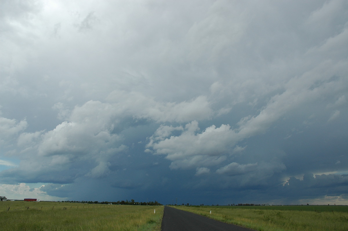 raincascade precipitation_cascade : S of Moree, NSW   27 December 2004