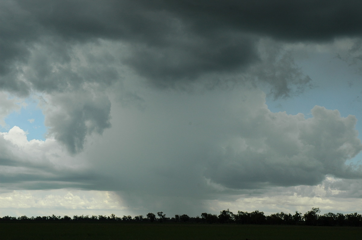 raincascade precipitation_cascade : S of Moree, NSW   27 December 2004