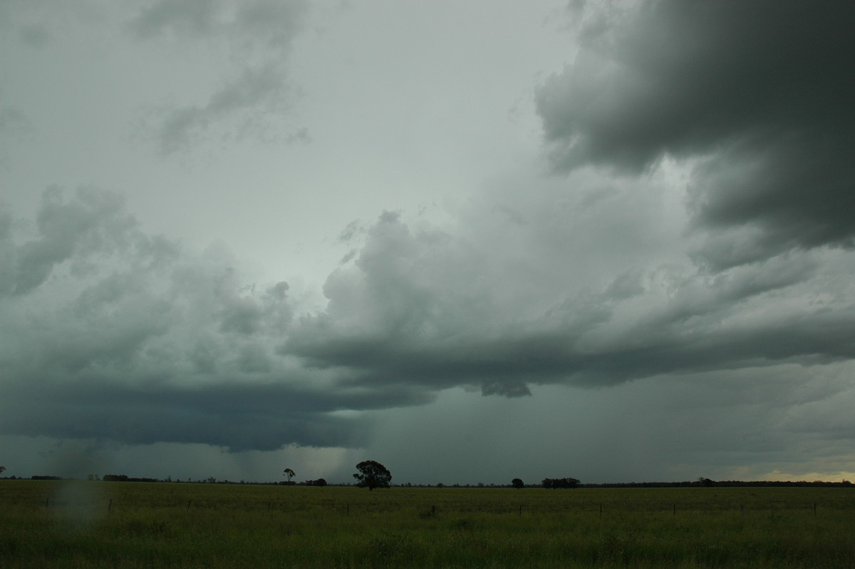 cumulonimbus thunderstorm_base : N of Moree, NSW   27 December 2004