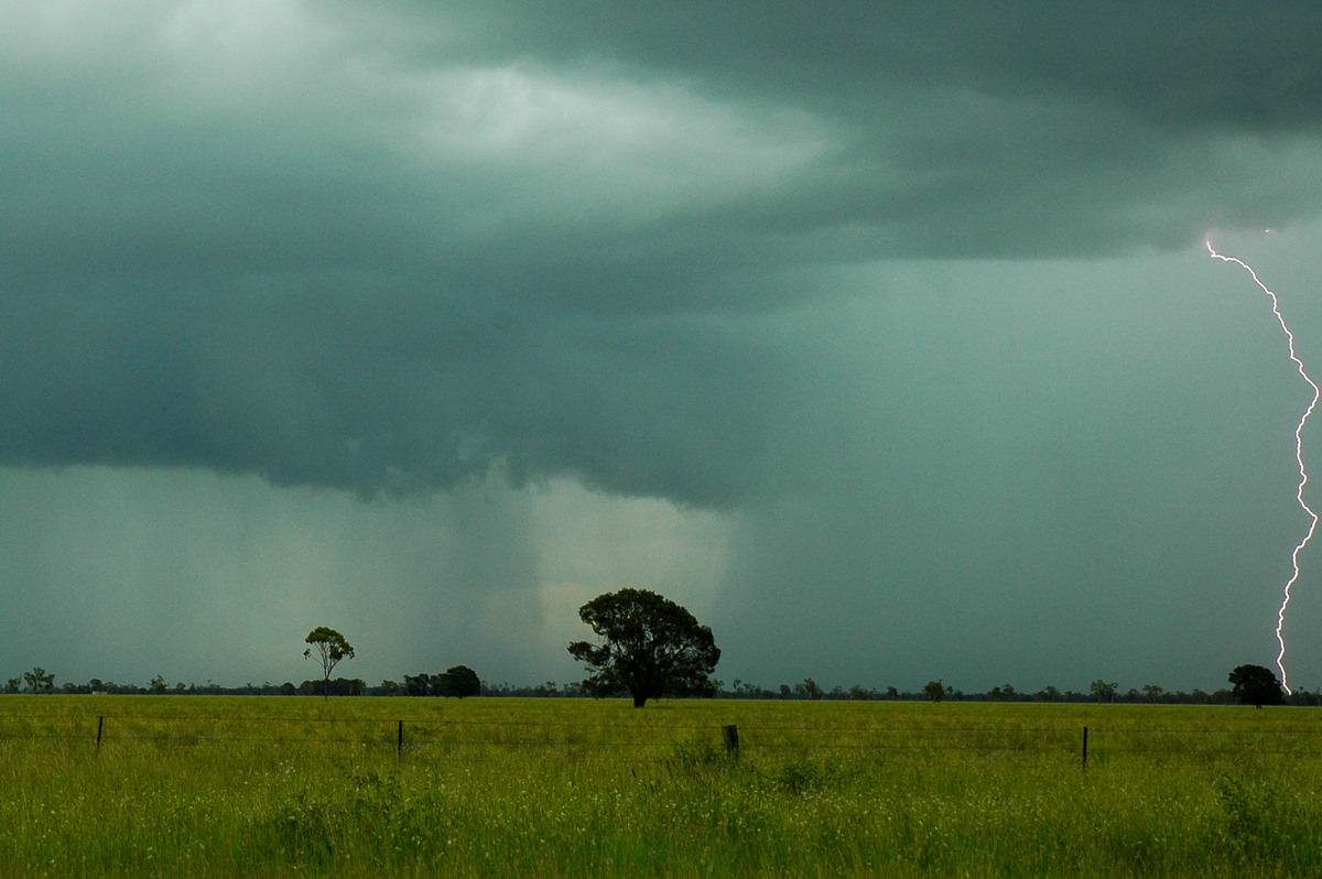 lightning lightning_bolts : near Moree, NSW   27 December 2004