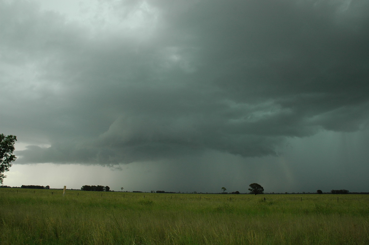 raincascade precipitation_cascade : N of Moree, NSW   27 December 2004