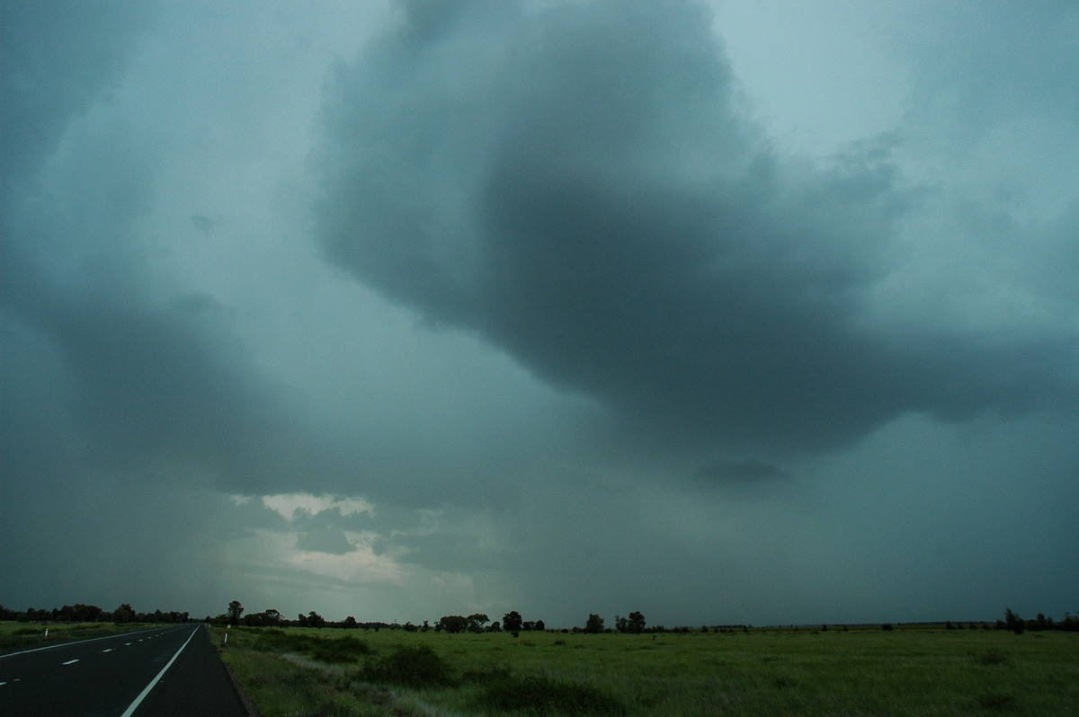 cumulonimbus thunderstorm_base : N of Moree, NSW   27 December 2004