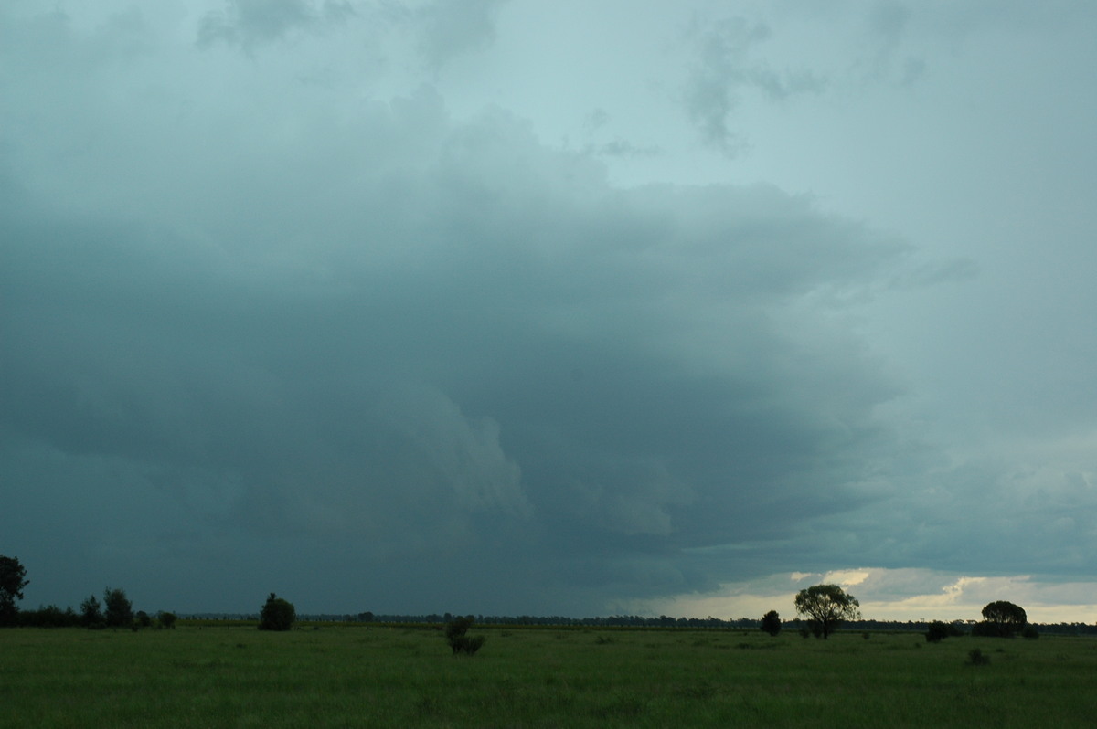 cumulonimbus thunderstorm_base : N of Moree, NSW   27 December 2004