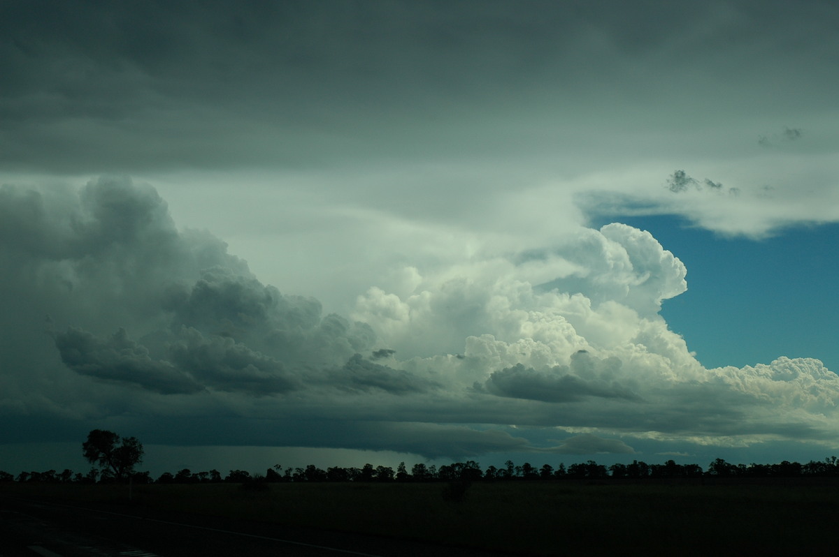 thunderstorm cumulonimbus_incus : near Moree, NSW   27 December 2004