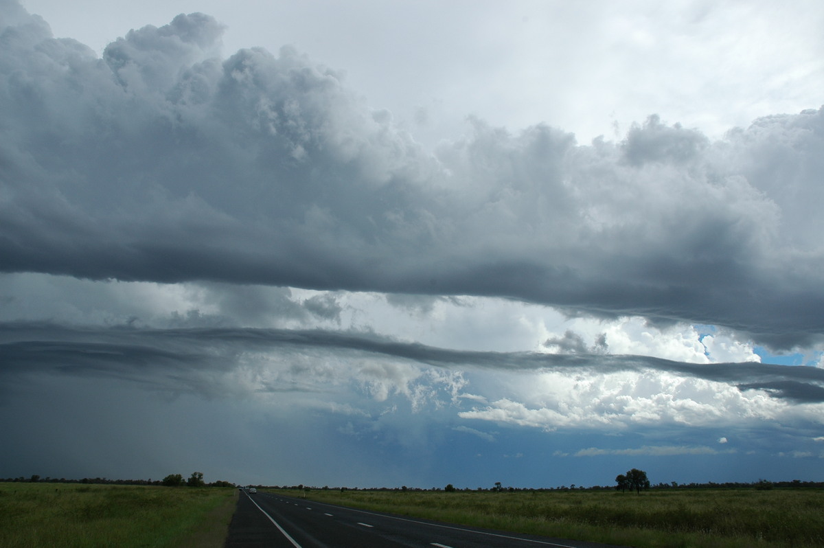 cumulus congestus : near Moree, NSW   27 December 2004