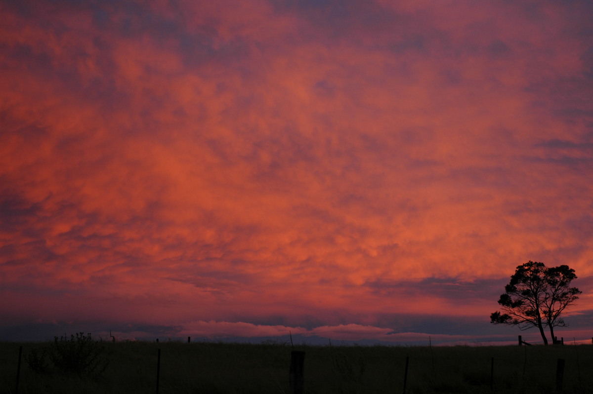 mammatus mammatus_cloud : Tenterfield, NSW   27 December 2004