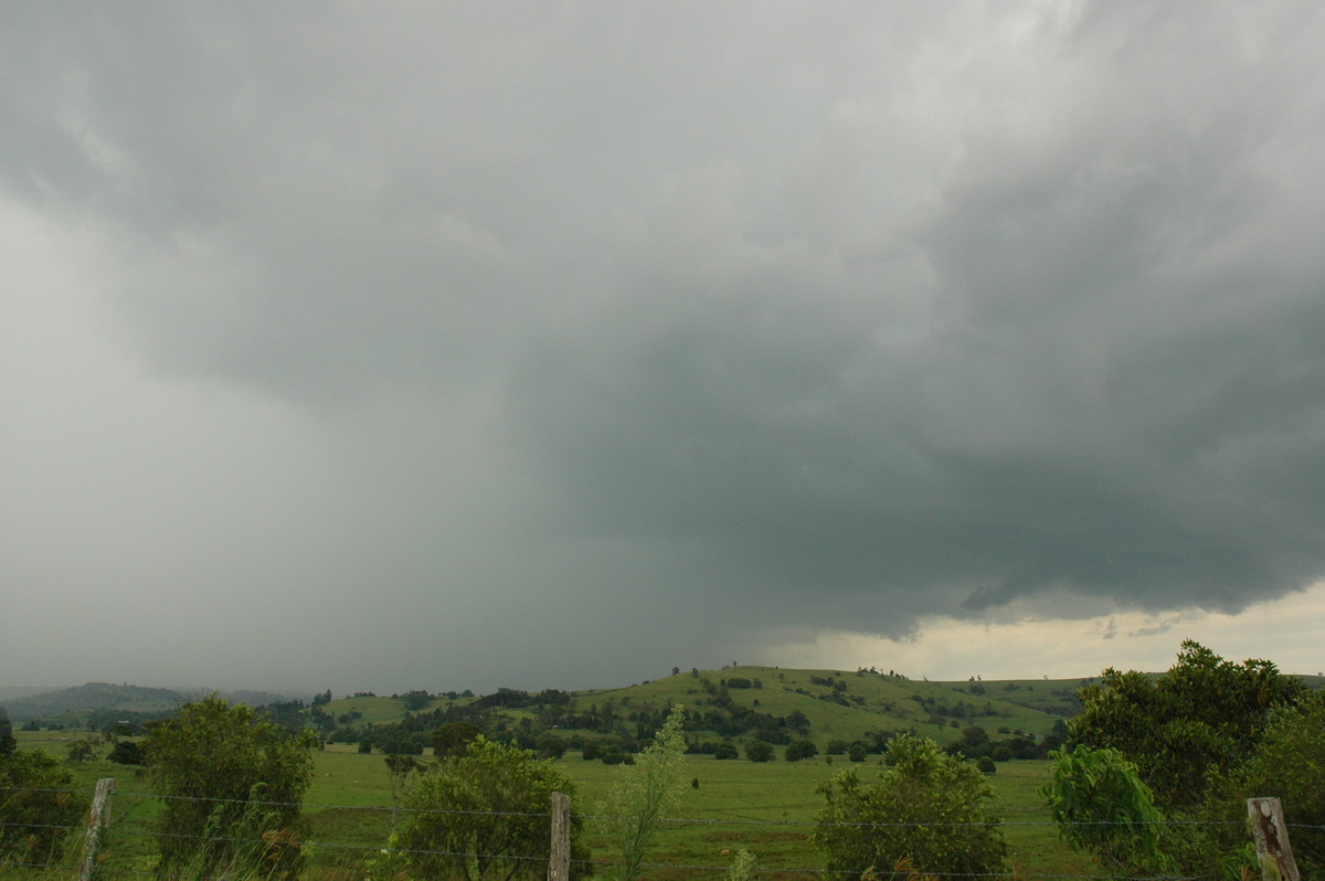 raincascade precipitation_cascade : McLeans Ridges, NSW   5 January 2005