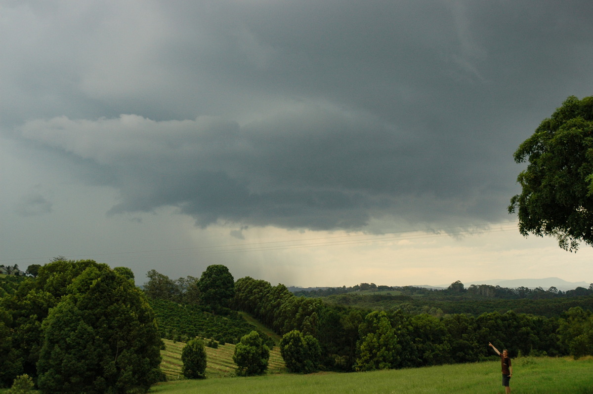 cumulonimbus thunderstorm_base : Clunes, NSW   5 January 2005