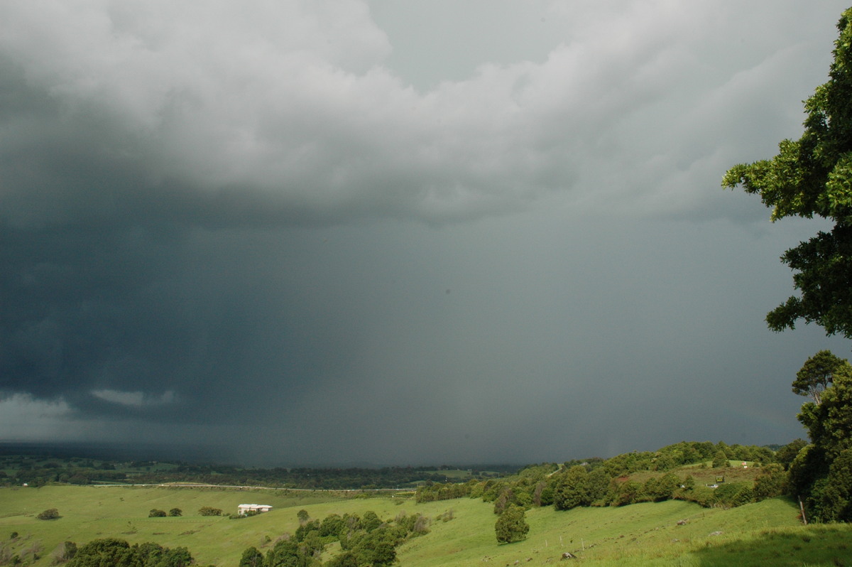 raincascade precipitation_cascade : Saint Helena, NSW   5 January 2005