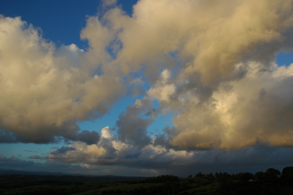 cumulus mediocris : McLeans Ridges, NSW   10 January 2005