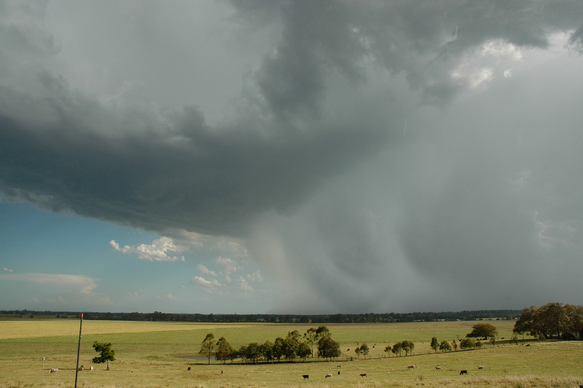 cumulonimbus thunderstorm_base : Casino, NSW   21 January 2005