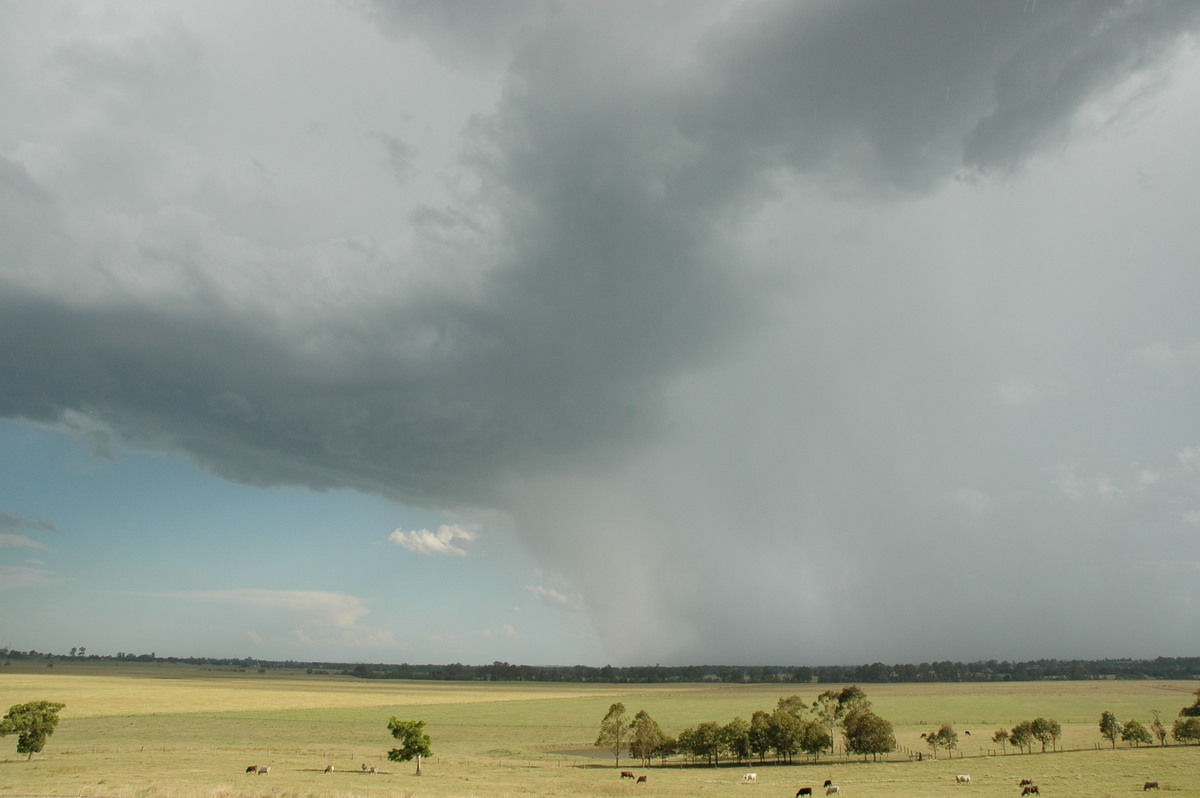 cumulonimbus thunderstorm_base : Casino, NSW   21 January 2005