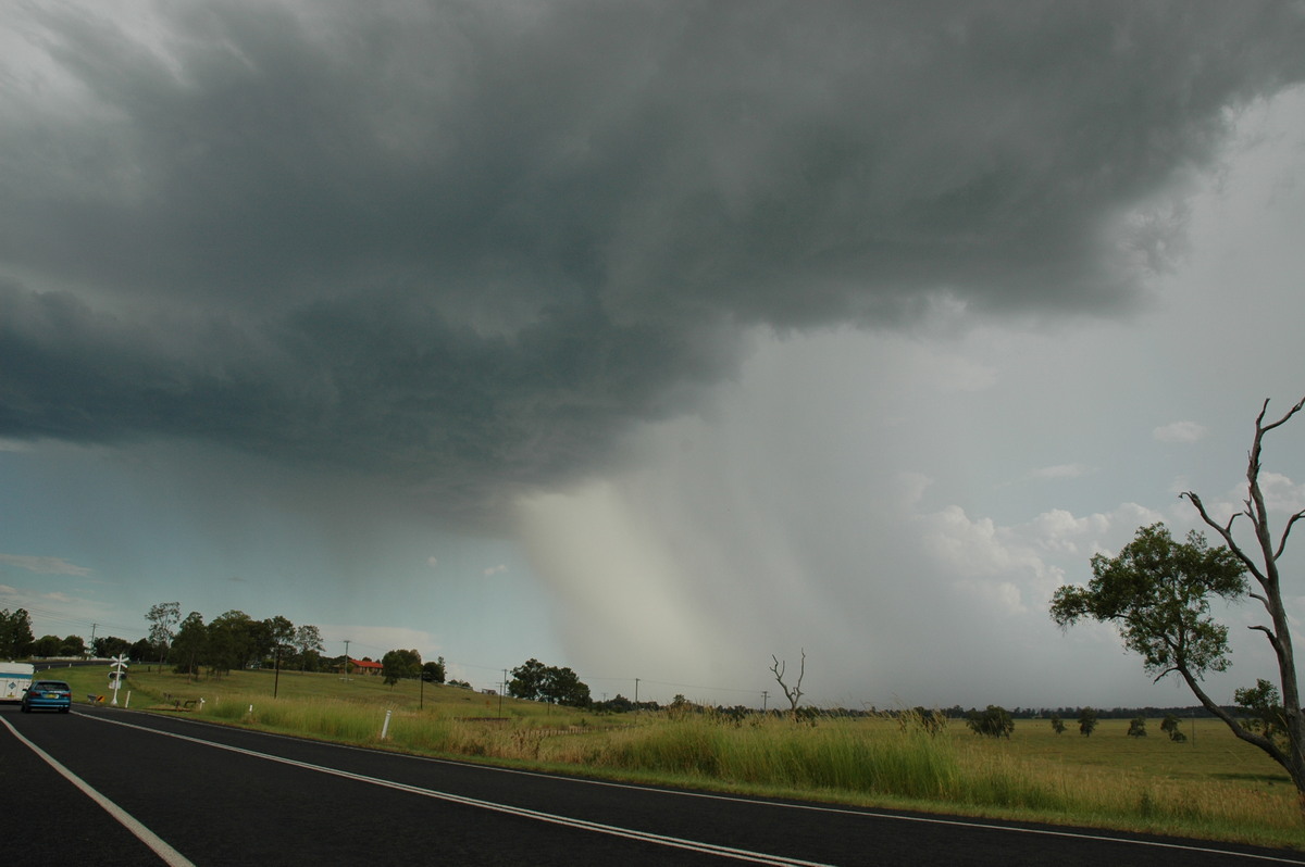 cumulonimbus thunderstorm_base : Casino, NSW   21 January 2005