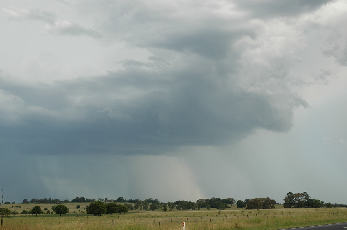 cumulonimbus thunderstorm_base : N of Casino, NSW   21 January 2005