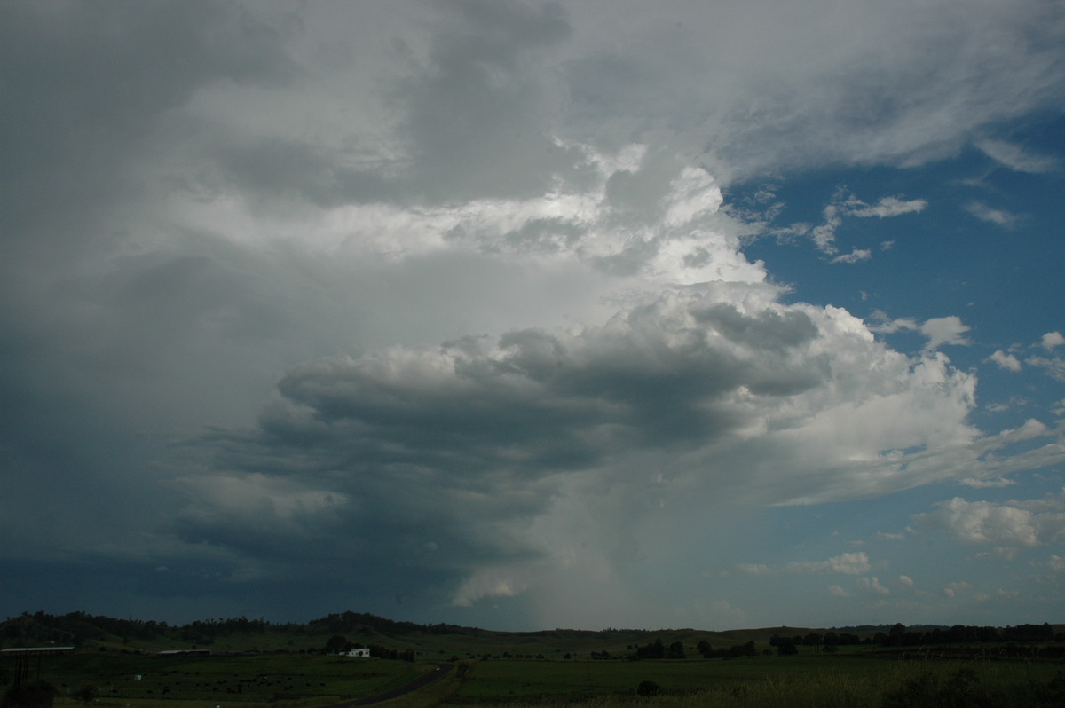 thunderstorm cumulonimbus_incus : N of Casino, NSW   21 January 2005