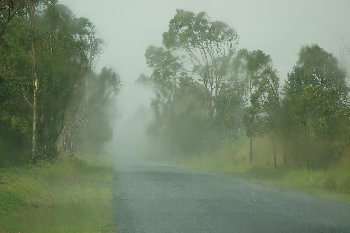 precipitation precipitation_rain : Lismore, NSW   21 January 2005