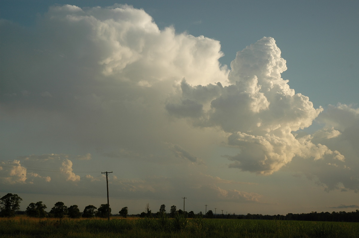 cumulus congestus : near Coraki, NSW   21 January 2005