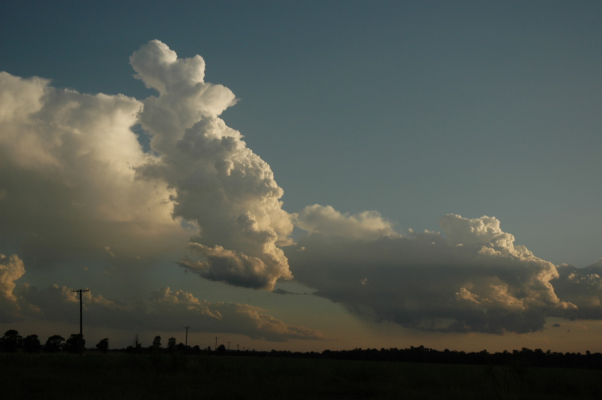 cumulus congestus : near Coraki, NSW   21 January 2005